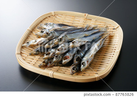 Etrumeus sadina 87763826