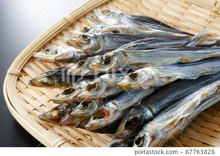 Etrumeus sadina Etrumeus sadina 87763828