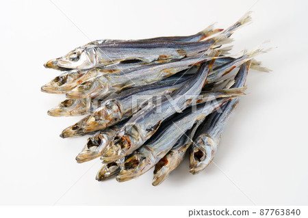 Etrumeus sadina 87763840