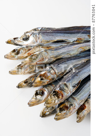 Etrumeus sadina 87763841