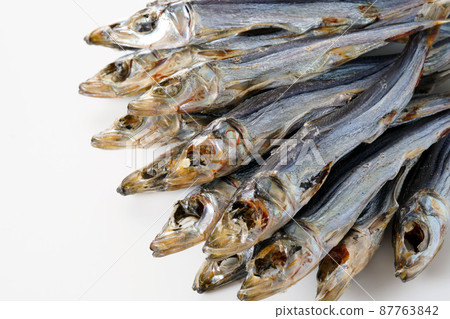 Etrumeus sadina 87763842