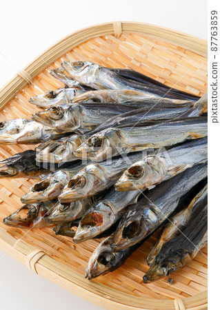 Etrumeus sadina 87763859