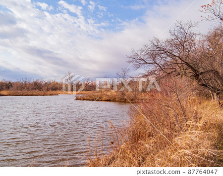 Sunny nature landscape of Bluff Creek Park 87764047