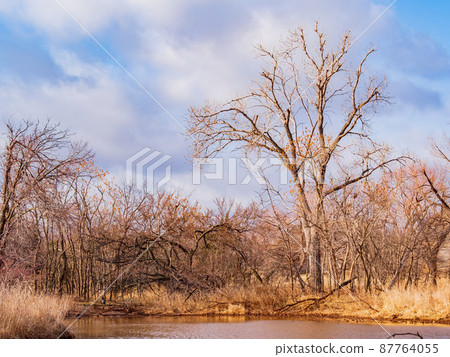 Sunny nature landscape of Bluff Creek Park Sunny nature landscape of Bluff Creek Park 87764055