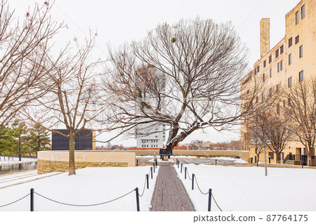 Overcast view of a snowy garden with Survival Tree of Oklahoma City National Memorial and Museum Overcast view of a snowy garden with Survival Tree of Oklahoma City National Memorial and Museum 87764175