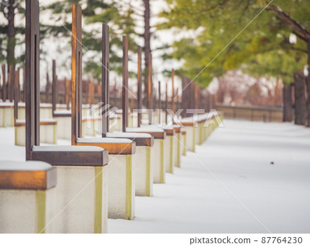 Overcast view of a snowy garden of Oklahoma City National Memorial and Museum 87764230