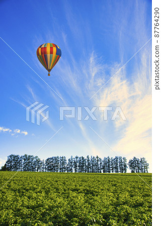 Beautiful rural scenery of the hill town Biei Beautiful rural scenery of the hill town Biei 87764290