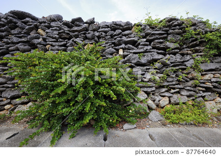 沖繩伊兵屋島風光（塔納村） 87764640