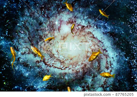 金魚在外太空游泳 87765205
