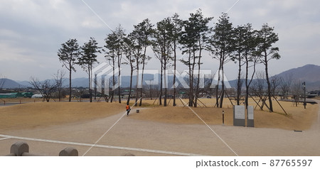 國立公園、慶州、王陵、月井橋、雞林森林 87765597