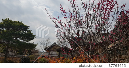 國立公園、慶州、王陵、月井橋、雞林森林 87765633