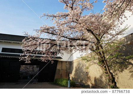 春天的大阪城公園 春天的大阪城公園 87766738