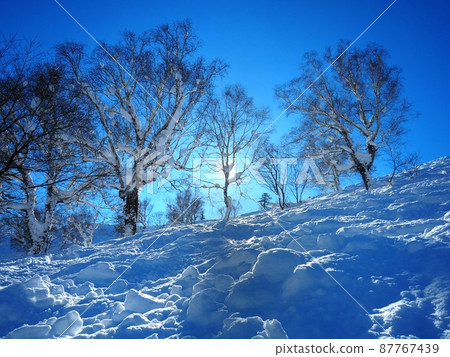 The beauty of the winter sky in Hokkaido 87767439