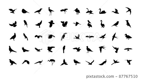 A set of vector wild birds templates. Black icons isolated on a white background A set of vector wild birds templates. Black icons isolated on a white background 87767510
