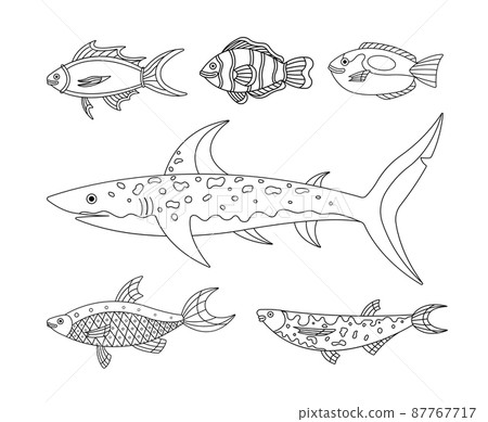 Vector collection of illustration of sea and water fishes. Modern templates with outline elements in linear black and white style. 87767717