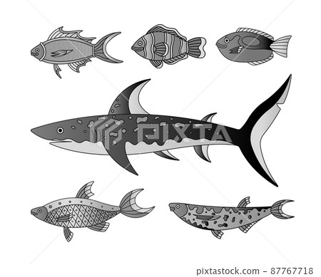 Vector collection of illustration of sea and water fishes. Modern templates with outline elements in style black and white. Vector collection of illustration of sea and water fishes. Modern templates with outline elements in style black and white. 87767718