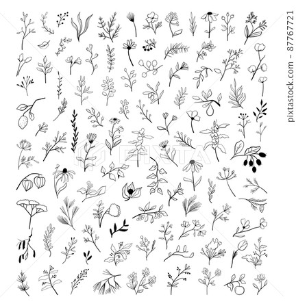 Set of twigs and flowers of herbal plants in doodle style. Sketches for creating patterns, wallpapers, ornaments, tattoos. Set of twigs and flowers of herbal plants in doodle style. Sketches for creating patterns, wallpapers, ornaments, tattoos. 87767721