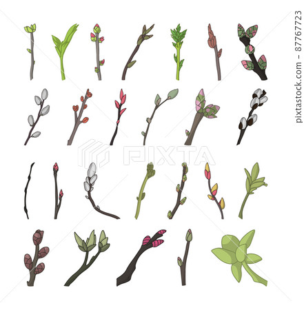 Collection of flowering twigs of trees. Collection of flowering twigs of trees. 87767723