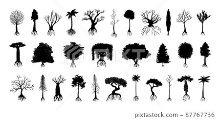 Collection of black silhouettes of various trees with root system. 87767736