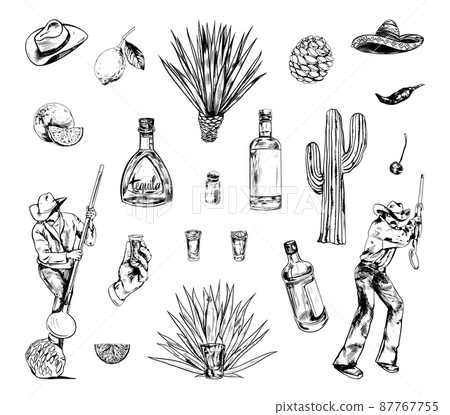 Collection of monochrome illustrations of tequila production in sketch style. Hand drawings in art ink style. Black and white graphics. 87767755