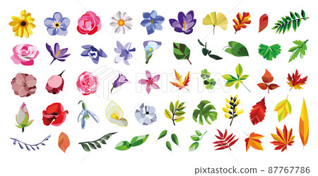 Collection of colorful flowers and leaves on a white background. Collection of colorful flowers and leaves on a white background. 87767786