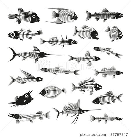 Collection of black and white fish skeletons. 87767847