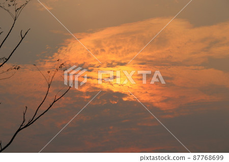 Sun behind cloud and dry branches of tree, orange and gray sky background. Sun behind cloud and dry branches of tree, orange and gray sky background. 87768699
