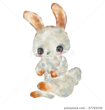 Rabbit Rabbit 87769348