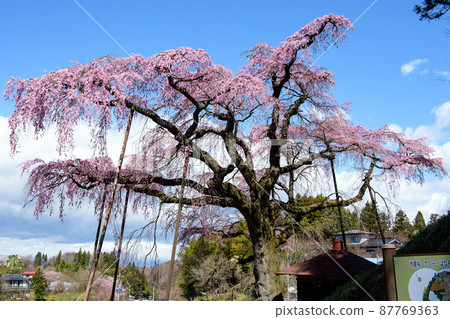 Zanchura Jizo Jikanji Fukushima Prefecture 87769363