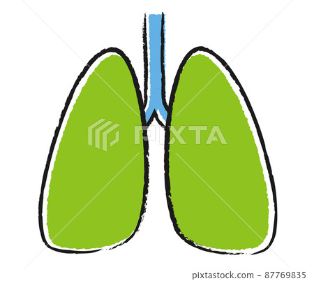 肺的簡單插圖，可愛的手繪風格 87769835