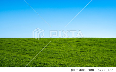 green field with blue sky background green field with blue sky background 87770422
