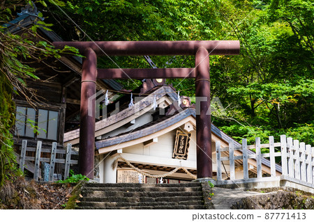 Nagano Prefecture Togakushi Shrine-Okusha Shrine- Nagano Prefecture Togakushi Shrine-Okusha Shrine- 87771413