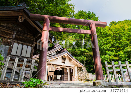 Nagano Prefecture Togakushi Shrine ~ Okusha ~ Nagano Prefecture Togakushi Shrine ~ Okusha ~ 87771414