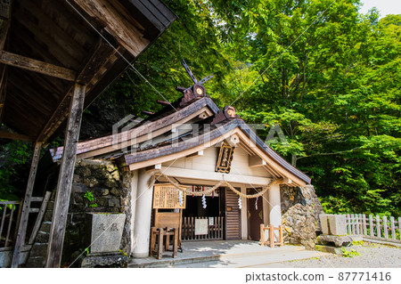 Nagano Prefecture Togakushi Shrine-Okusha Shrine- Nagano Prefecture Togakushi Shrine-Okusha Shrine- 87771416