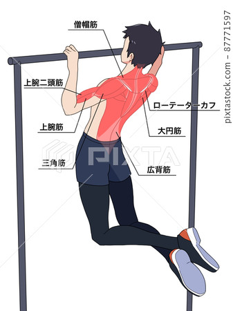Names of men and muscles who pull up (Japanese) 87771597