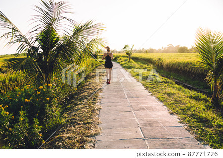 Fit female jogging along pathway among green fields in sunlight Fit female jogging along pathway among green fields in sunlight 87771726