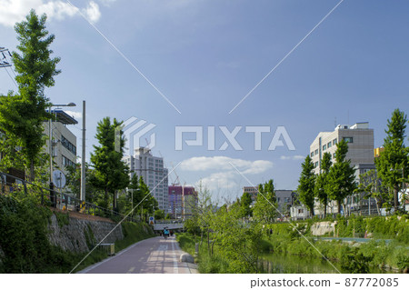 城北川長廊周圍的風景 87772085