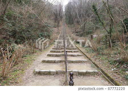 The long and beautiful stairs in the park 87772220