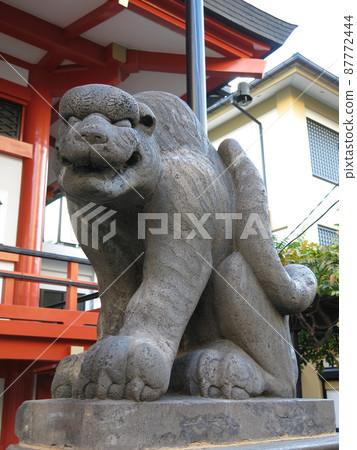 Shi Hu (Tiger) remaining at Zenkokuji Temple in Kagurazaka 87772444