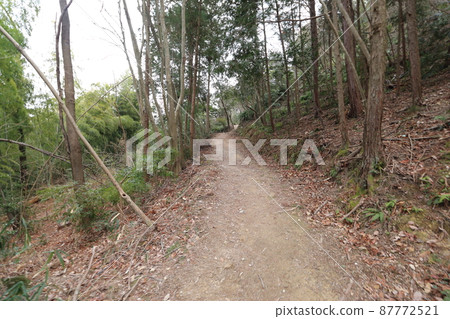 艱苦的徒步旅行 艱苦的徒步旅行 87772521