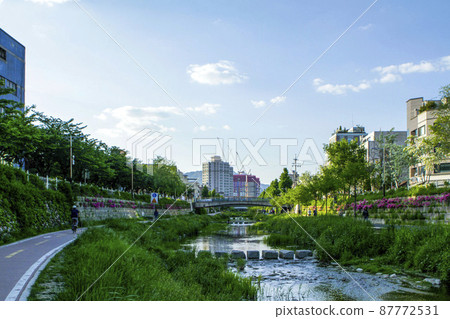 People enjoying leisure on the Seongbukcheon promenade and bicycle path People enjoying leisure on the Seongbukcheon promenade and bicycle path 87772531