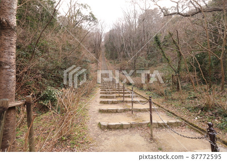The long and beautiful stairs in the park 87772595
