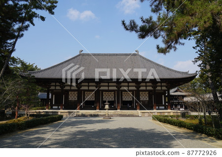The precincts of Toshodaiji Temple in early spring The precincts of Toshodaiji Temple in early spring 87772926