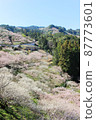 奈良縣五條市西吉野町阿努梅林 87773601