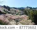 五條市西吉野町阿努梅林 87773602