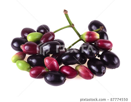 Jambolan plum or Java plum isolated on white background 87774550