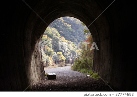 JR Fukuchiyama Line Abandoned Line Walking 87774698