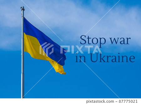 STOP WAR IN UKRAINE text on Ukrainian national flag flutters in the wind against the blue sky. National symbol of ukrainian people - blue and yellow. No war. War Protest against Russian invasion of STOP WAR IN UKRAINE text on Ukrainian national flag flutters in the wind against the blue sky. National symbol of ukrainian people - blue and yellow. No war. War Protest against Russian invasion of 87775021