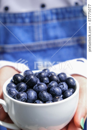 Woman holding bowl with fresh blueberries. Harvesting concept. Female hands collecting berries. The concept of vegetable garden cottage harvest gardening Woman holding bowl with fresh blueberries. Harvesting concept. Female hands collecting berries. The concept of vegetable garden cottage harvest gardening 87775077