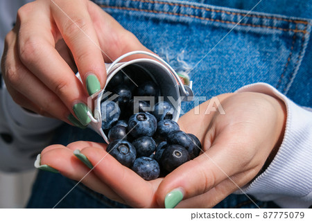 Woman holding bowl with fresh blueberries. Harvesting concept. Female hands collecting berries. The concept of vegetable garden cottage harvest gardening 87775079